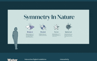 Symmetry in Nature / Splash Exhibit