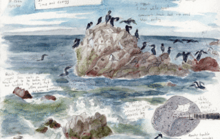 Cormorants on the Rocks