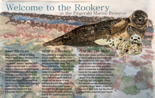 Welcome to the Rookery
